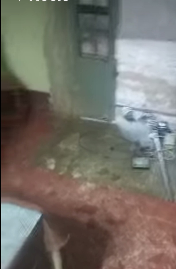 Likasi/Insécurité :En plein carême,la paroisse saint Thomas à Nkolomoni combriolée.