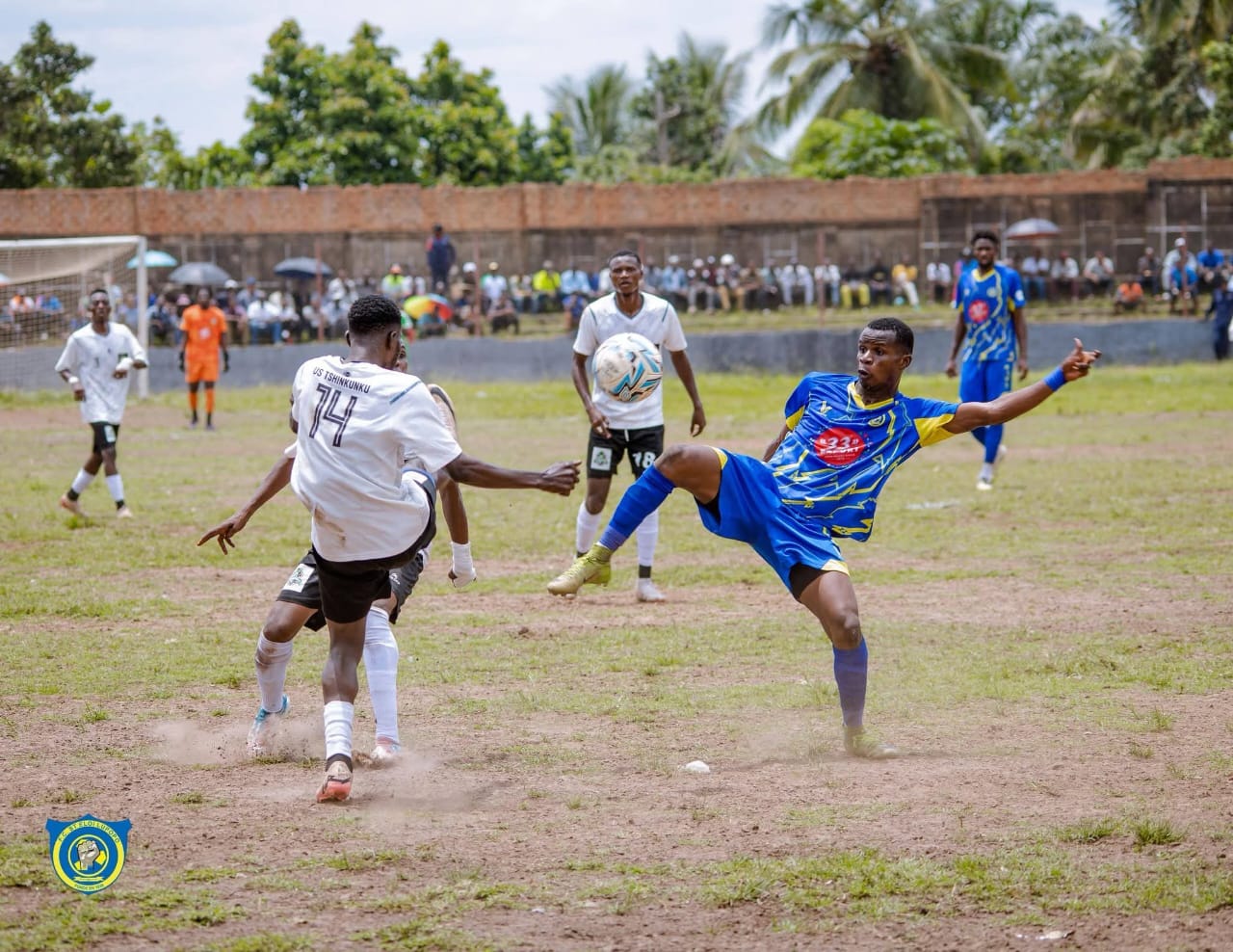 LINAFOOT : la razzia des sélections... les clubs congolais pris d'assaut