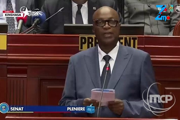 Sénat : Norbert Basengezi propose des journées parlementaires sur la Constitution.