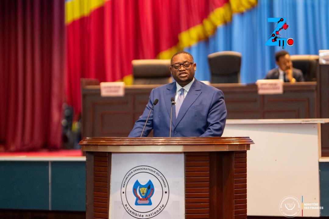 RDC : deux projets de loi sur des prêts de 150 millions USD jugés recevables.