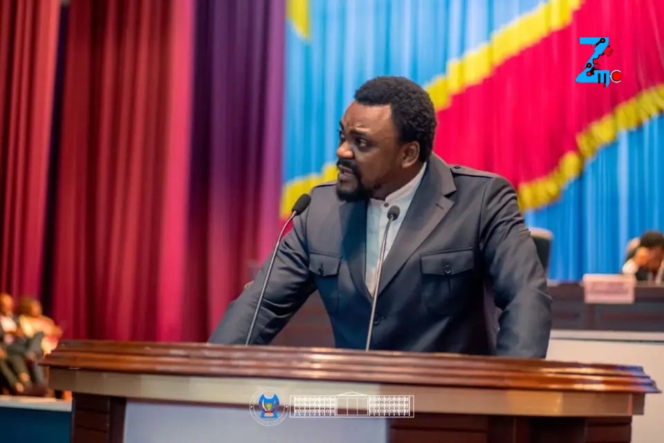 RDC : les députés du NOGEC boycottent la plénière sur le référendum